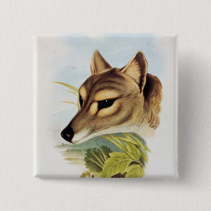 Bóton Quadrado 5.08cm Lobo ou tigre tasmaniano