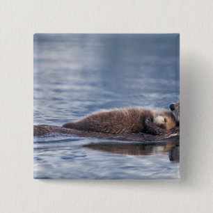 Bóton Quadrado 5.08cm lontra marinha, Enhydra lutris lutris