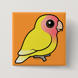 Bóton Quadrado 5.08cm Lutino Pêssego-enfrentou o Lovebird