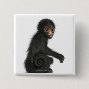 Bóton Quadrado 5.08cm Macaco-aranha-de-cara-vermelha - Ateles paniscus (