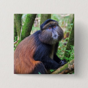 Bóton Quadrado 5.08cm Macaco Dourado, Ruanda