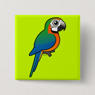 Bóton Quadrado 5.08cm Macaw do Harlequin