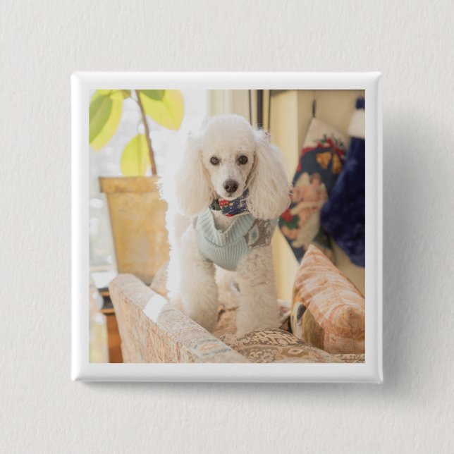 Bóton Quadrado 5.08cm Maddie (Frente)