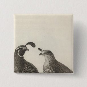 Bóton Quadrado 5.08cm Male & Female Partridge, Califórnia
