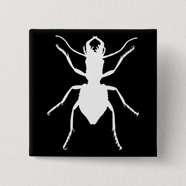 Bóton Quadrado 5.08cm Manticora tuberculata (Frente)