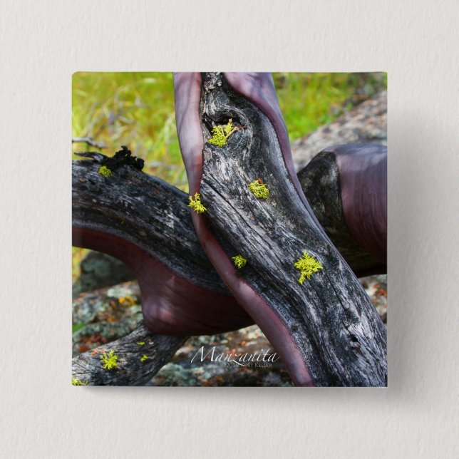 Bóton Quadrado 5.08cm Manzanita Button (Frente)