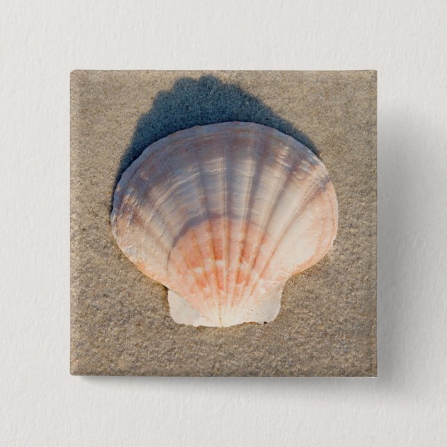 Bóton Quadrado 5.08cm Mar Shell que coloca no Sandy Beach (Frente)