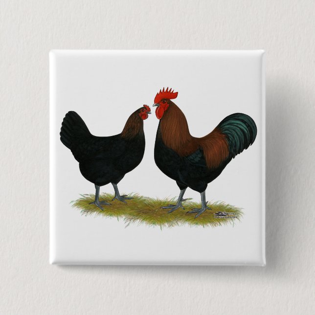 Bóton Quadrado 5.08cm Marans Black Copper (Frente)
