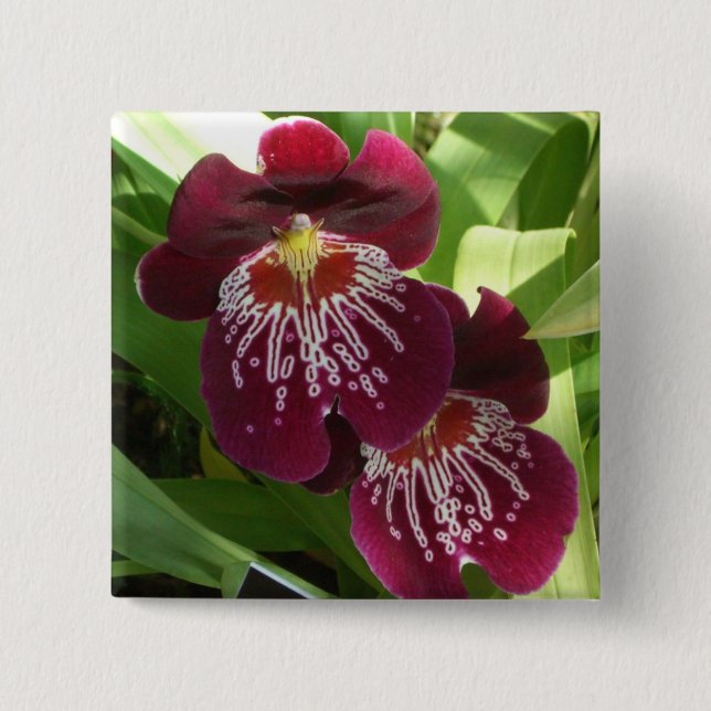 Bóton Quadrado 5.08cm Maroon Orchids II Elegante Floral (Frente)