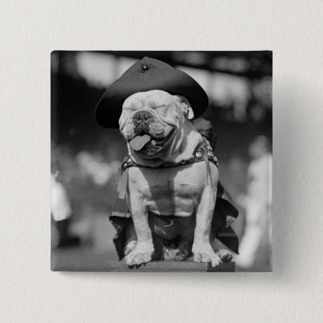 Bóton Quadrado 5.08cm Mascote do Corpo do Marines, 1920 (Frente)