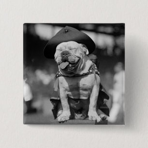 Bóton Quadrado 5.08cm Mascote do Corpo do Marines, 1920