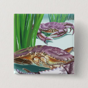 Bóton Quadrado 5.08cm MassachusettsCrab e pescador
