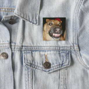 Bóton Quadrado 5.08cm Mau do Cachorro German shepherd Psicopata