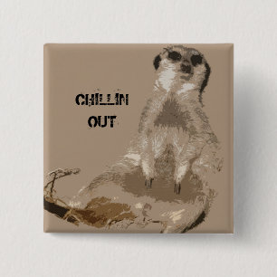 Bóton Quadrado 5.08cm meerkat