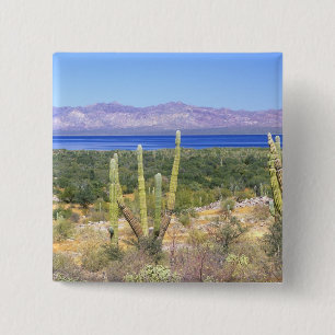 Bóton Quadrado 5.08cm México, Baja California Sur, Cardon Cactus em