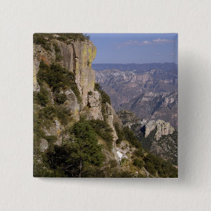 Bóton Quadrado 5.08cm México, Estado de Chihuahua, Copper Canyon. ESTA 2
