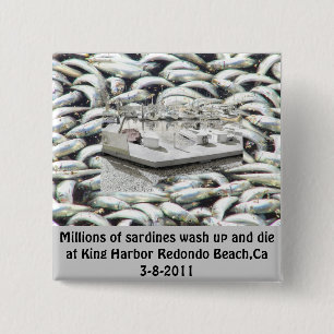 Bóton Quadrado 5.08cm Millions of Sardines 3-8-2011_