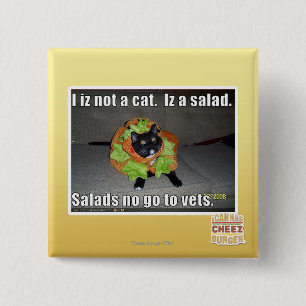 Bóton Quadrado 5.08cm Mim iz não um gato. Iz um salad.