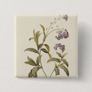 Bóton Quadrado 5.08cm Miosótis