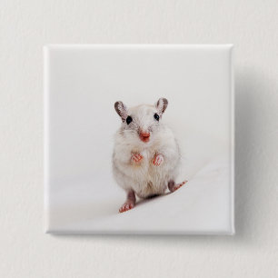 Bóton Quadrado 5.08cm Modelo bonito animal dos Gerbils do animal de