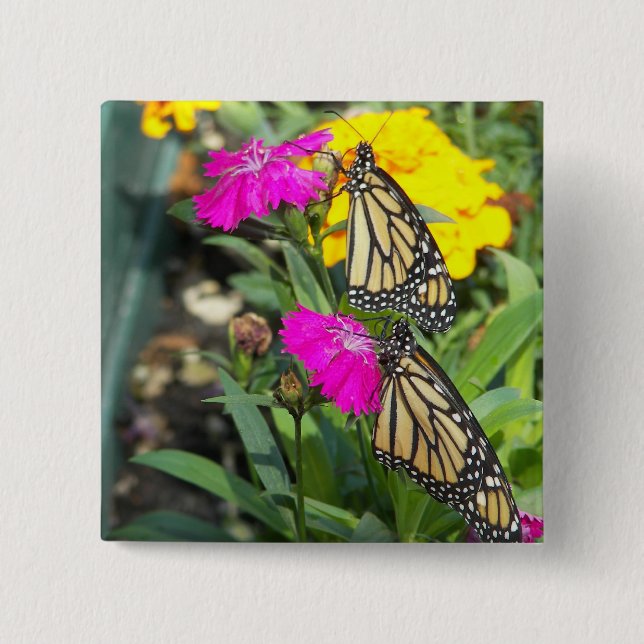 Bóton Quadrado 5.08cm Monarch Twins #2 botão (Frente)