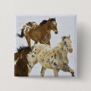 Bóton Quadrado 5.08cm Montanhas do Big Horn, cavalos que funcionam na