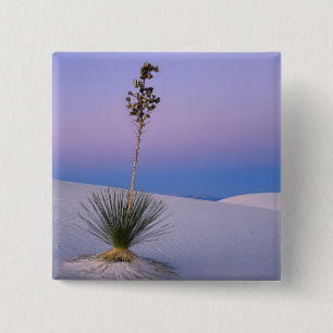 BÓTON QUADRADO 5.08CM MONUMENTO NACIONAL WHITE SANDS, NOVO MÉXICO.