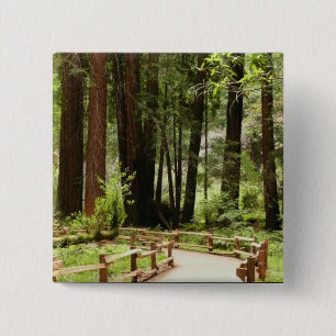 Bóton Quadrado 5.08cm Muir Woods Path I Nature Photoics