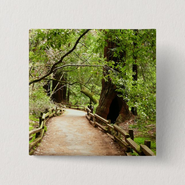 Bóton Quadrado 5.08cm Muir Woods Path II - Fotografia natural (Frente)
