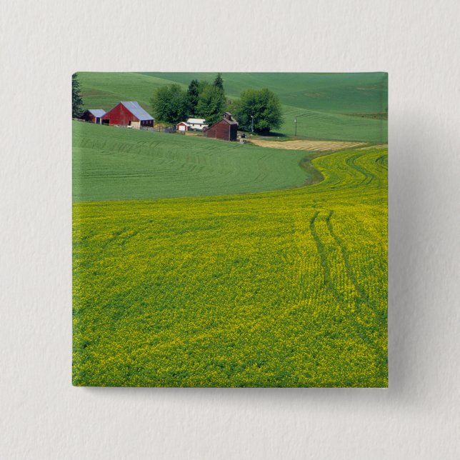 Bóton Quadrado 5.08cm N.A., EUA, Idaho, Condado de Latah, perto de Genes (Frente)