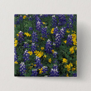 Bóton Quadrado 5.08cm N.A, EUA, Texas, Marble Falls, Blue Bonnets
