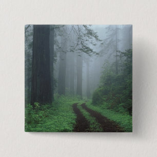 Bóton Quadrado 5.08cm NA, EUA, Califórnia. Parque Estadual da Costa Nor