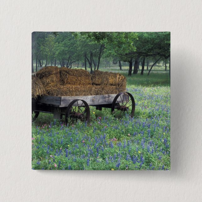 Bóton Quadrado 5.08cm NA, EUA, Texas, a leste de Devine, Velha carroça e (Frente)
