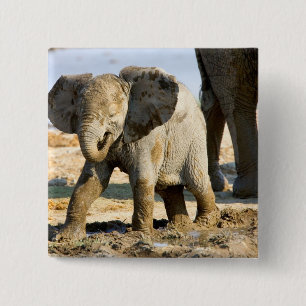 Bóton Quadrado 5.08cm Namíbia, África: Bebê Elefante Africano