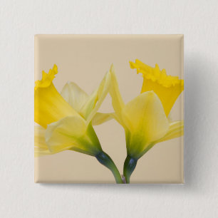 Bóton Quadrado 5.08cm Narcisos amarelos