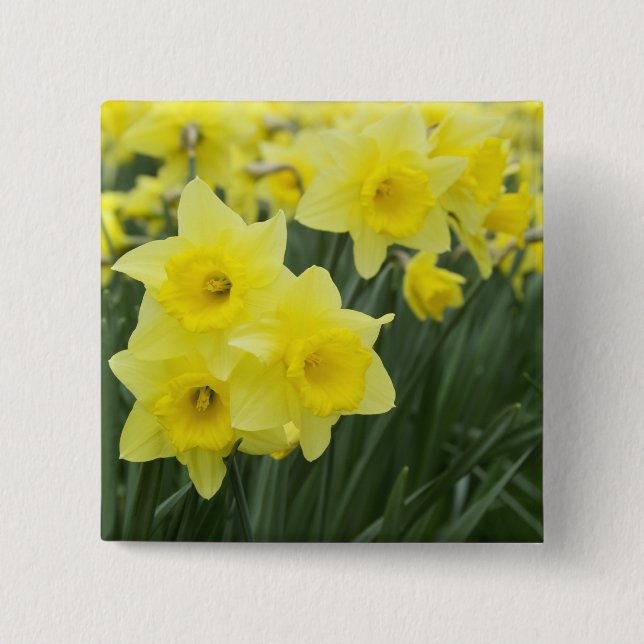 Bóton Quadrado 5.08cm Narcisos RF) (Frente)