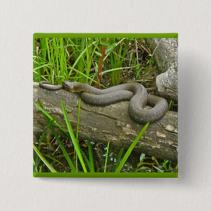 Bóton Quadrado 5.08cm Norte de Cobra de Água do  no Log de Vários Itens