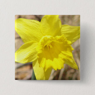 Bóton Quadrado 5.08cm O Daffodil amarelo floresce o Pin quadrado