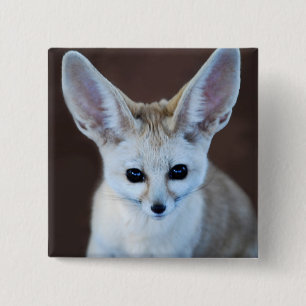 Bóton Quadrado 5.08cm O Fox o mais bonito de Fennec dos mundos