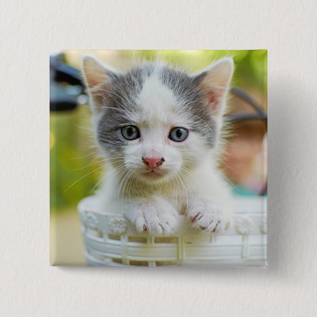 Bóton Quadrado 5.08cm O gatinho monta uma bicicleta (Frente)