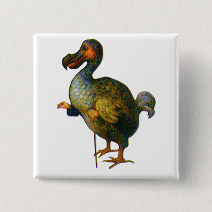 Bóton Quadrado 5.08cm O pássaro do Dodo