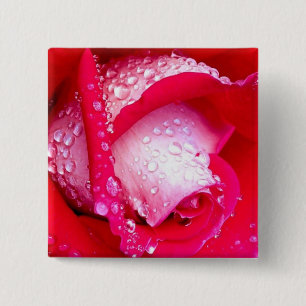 Bóton Quadrado 5.08cm O vermelho/rosa Orvalho-Beijado aumentou