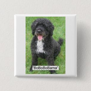 Bóton Quadrado 5.08cm Obama Pet English Water dog