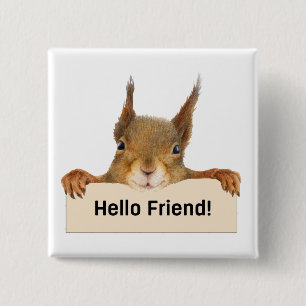 Bóton Quadrado 5.08cm Olá Amigo Funny Squirrel