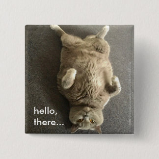 Bóton Quadrado 5.08cm olá! de Fiona o gato azul grande