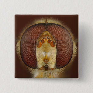 Bóton Quadrado 5.08cm Olhos principais e compostos de uma mosca do pairo