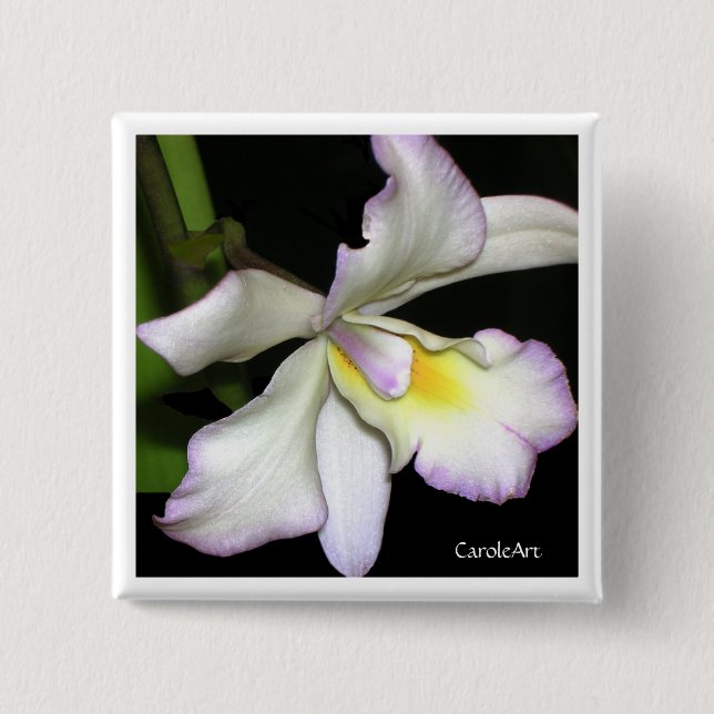 Bóton Quadrado 5.08cm Orquídea branca clássica (Frente)