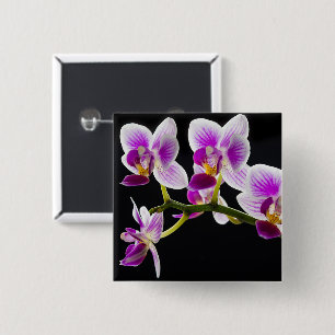 Bóton Quadrado 5.08cm Orquídea branca e roxa