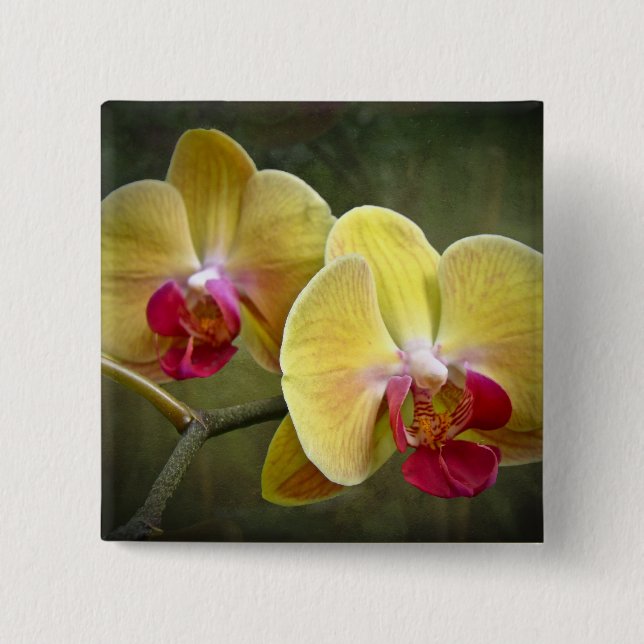 Bóton Quadrado 5.08cm Orquídeas de traça amarelas - Phalaenopsis (Frente)