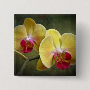 Bóton Quadrado 5.08cm Orquídeas de traça amarelas - Phalaenopsis
